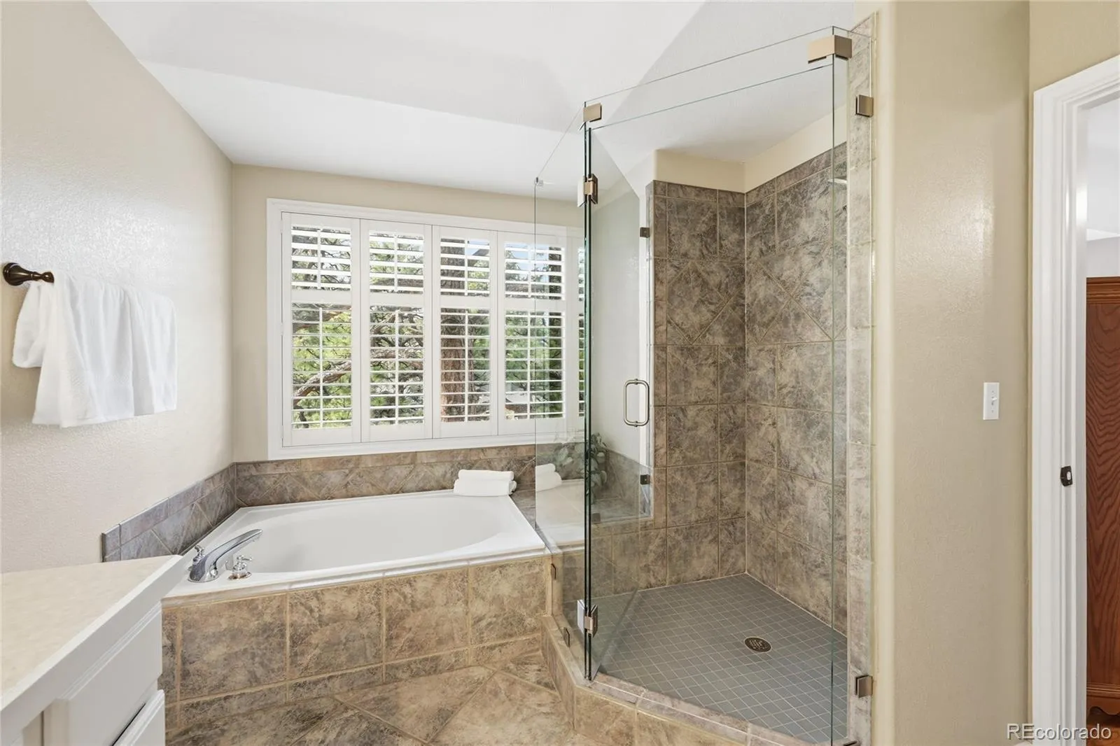 5822 Irish Pat Murphy Drive Parker CO 80134 MLS #REC9380088 05122026230924 1600 25