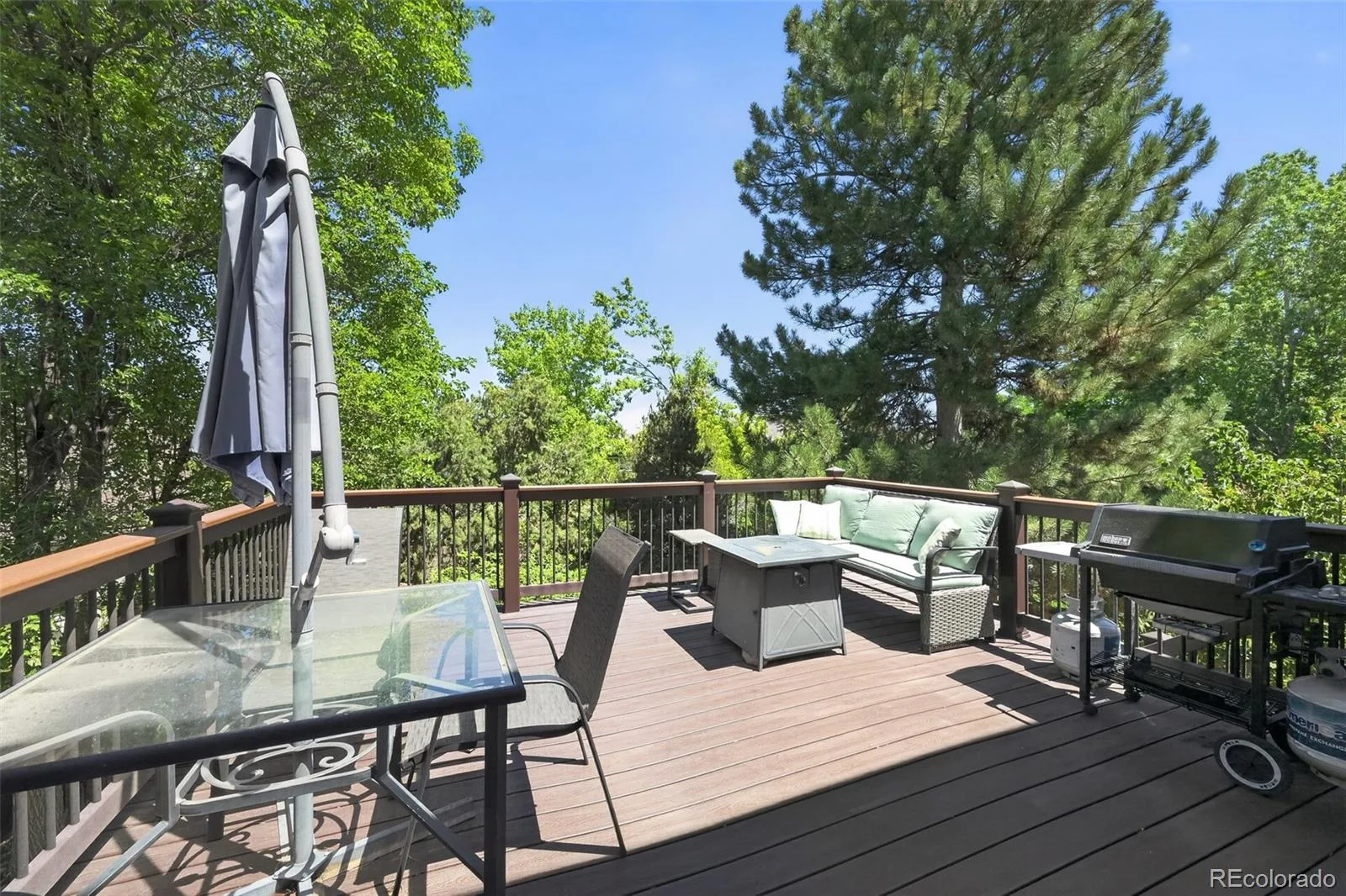 825 Huntington Drive Littleton CO 80126 MLS #REC9392152 07112026161302 1600 45
