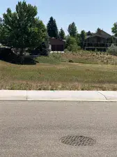 8320 S Cody Way Littleton CO 80128 | MLS #REC9397127 07292025195613 300 0