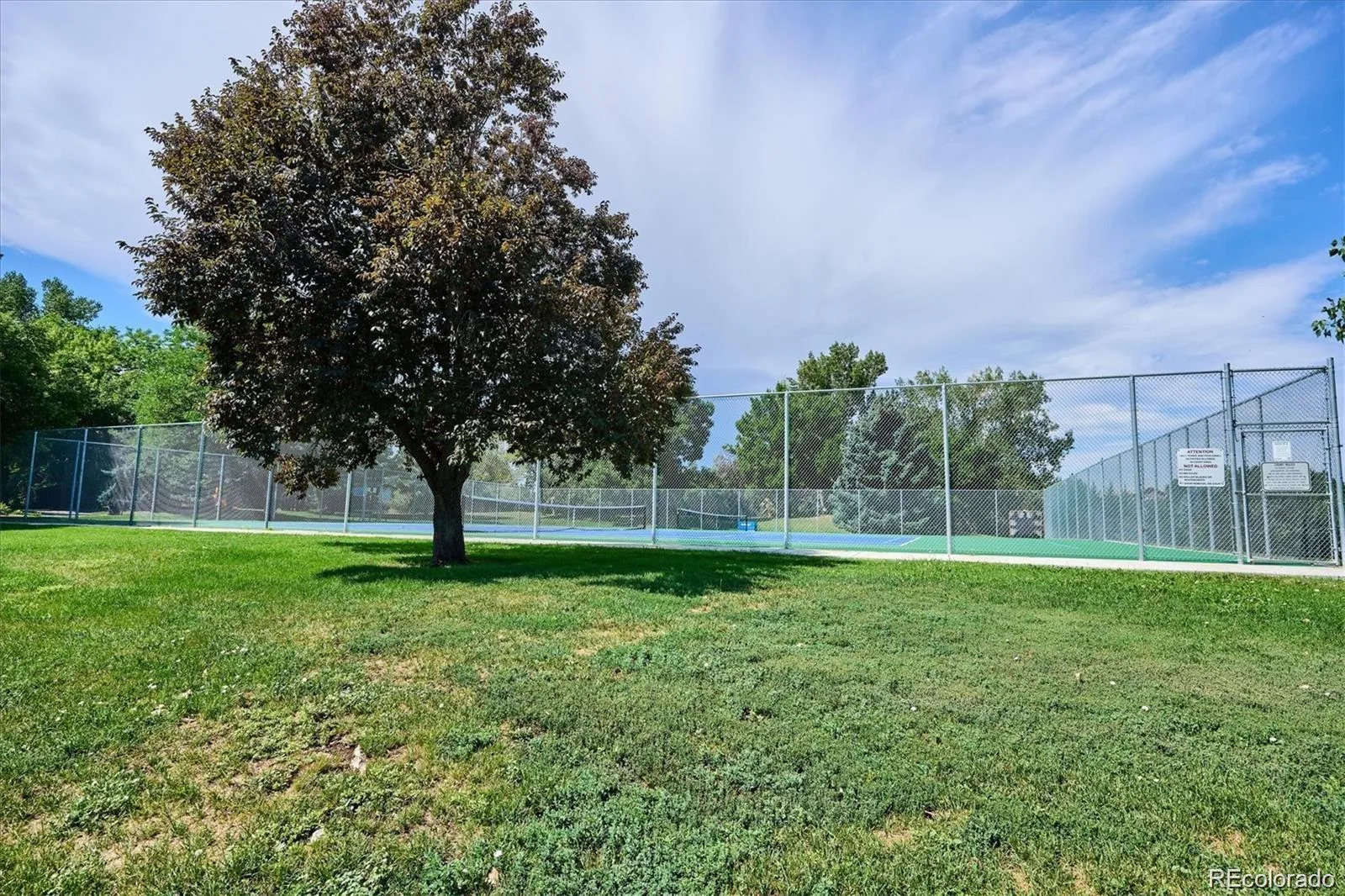 6140 W Evans Place Lakewood CO 80227 MLS #REC9397957 06252026014648 1600 46