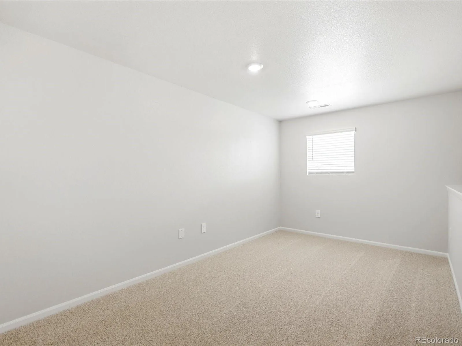 6862 Quail Avenue Firestone CO 80504 | MLS #REC9399602 08192026232541 1600 13