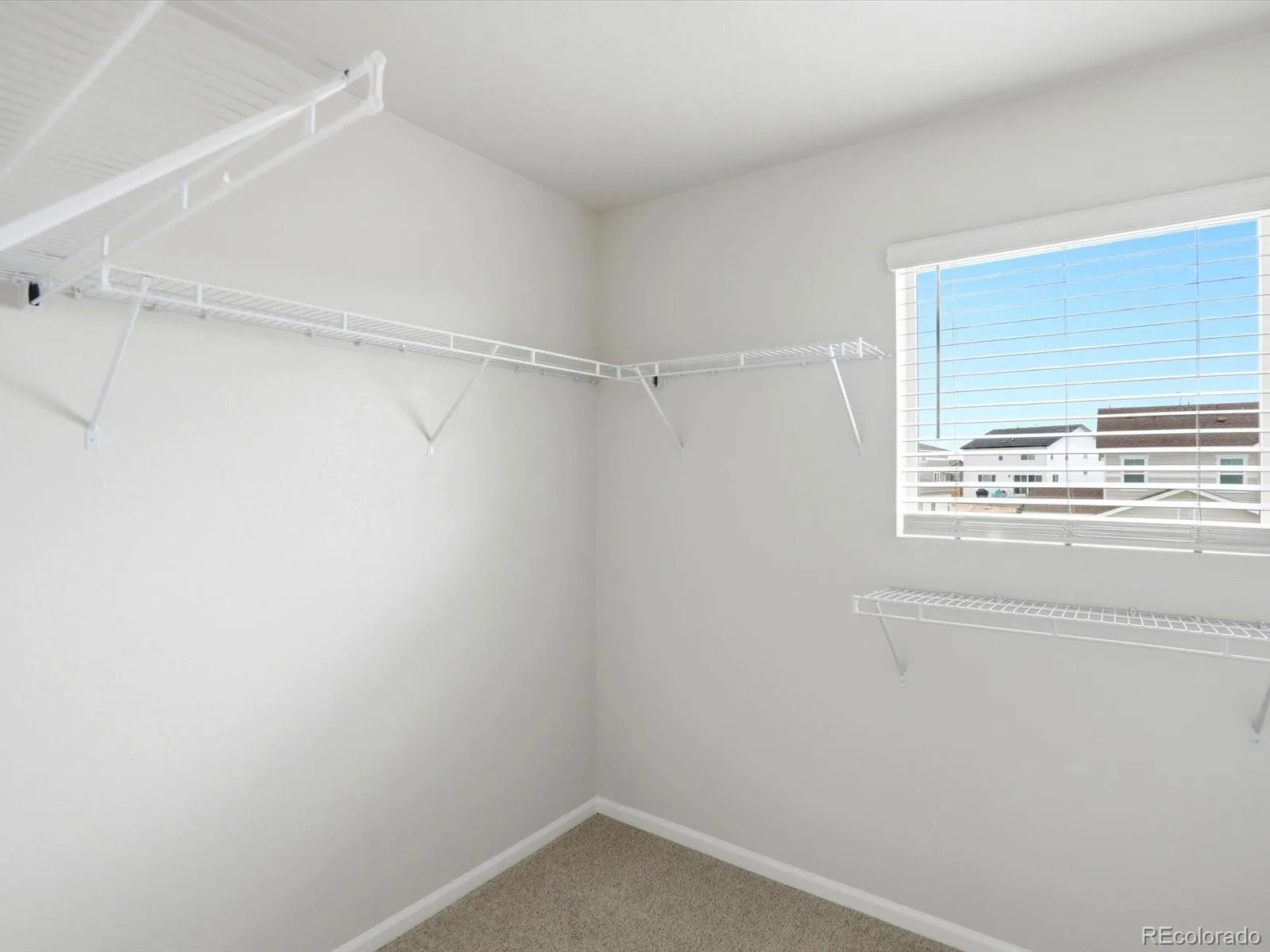 6862 Quail Avenue Firestone CO 80504 | MLS #REC9399602 08192026232541 1600 20