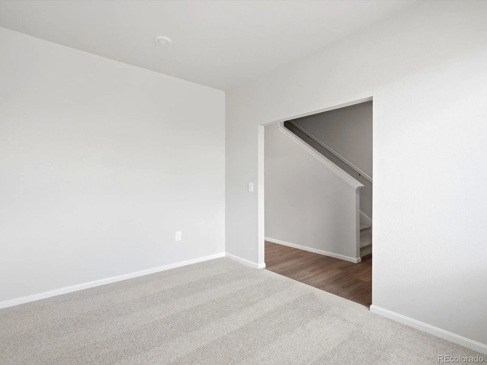 6862 Quail Avenue Firestone CO 80504 | MLS #REC9399602 08192026232541 1600 3