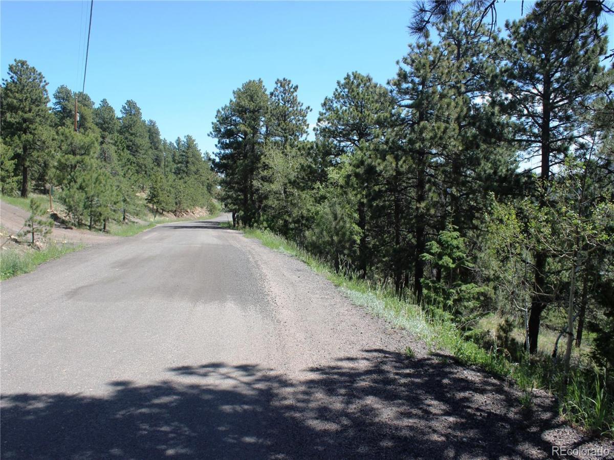 MLS #REC9400027 image #0