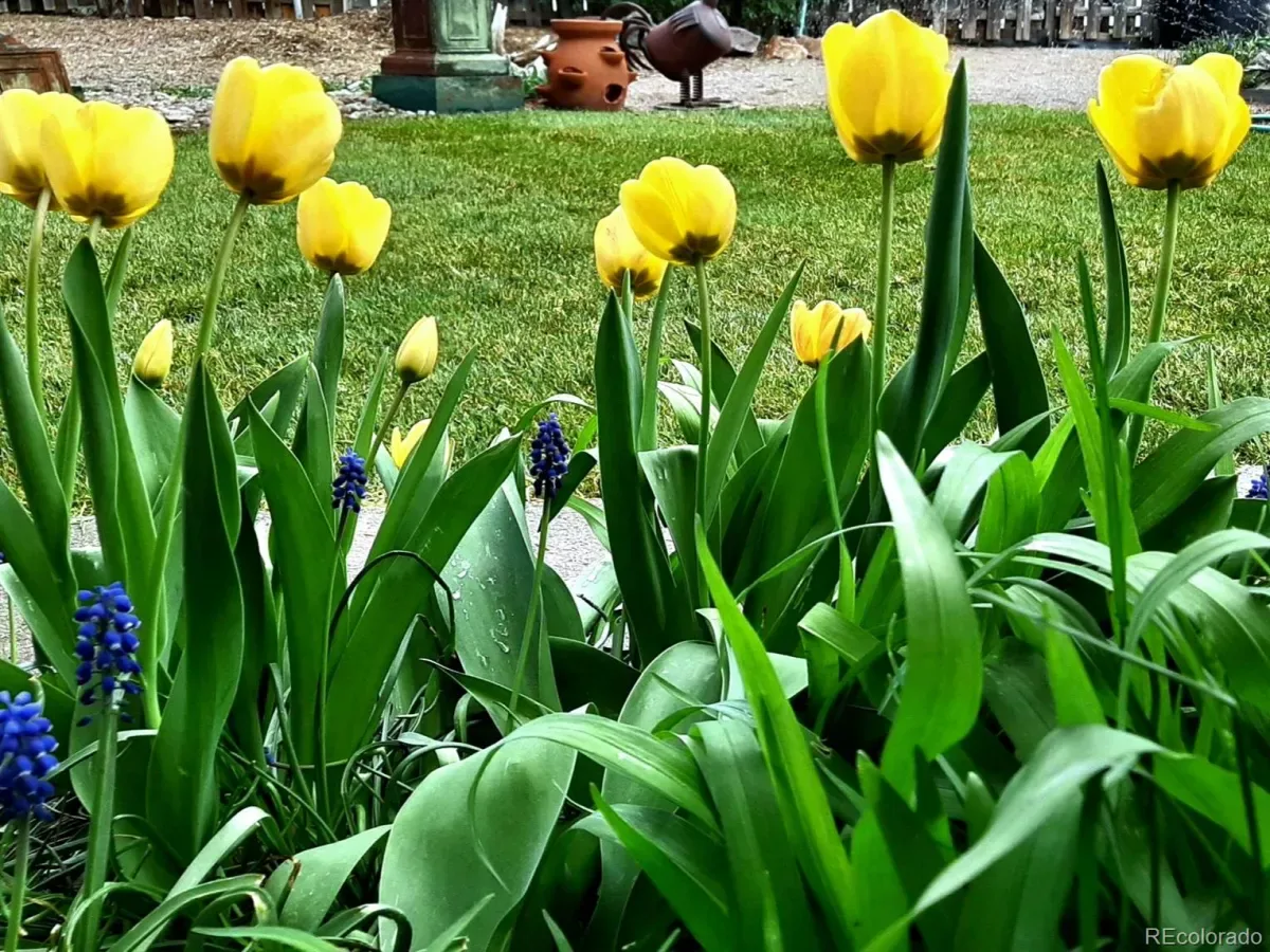 03262026193059 1200 29