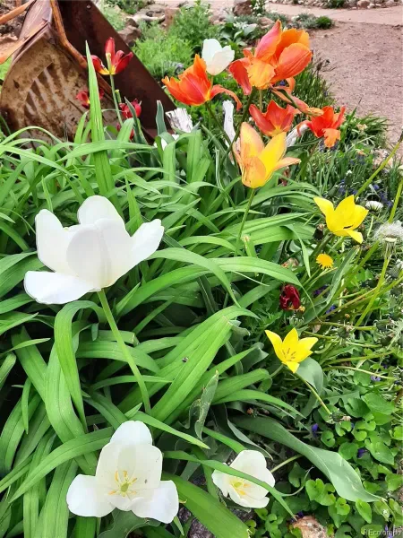 03262026193059 800 25