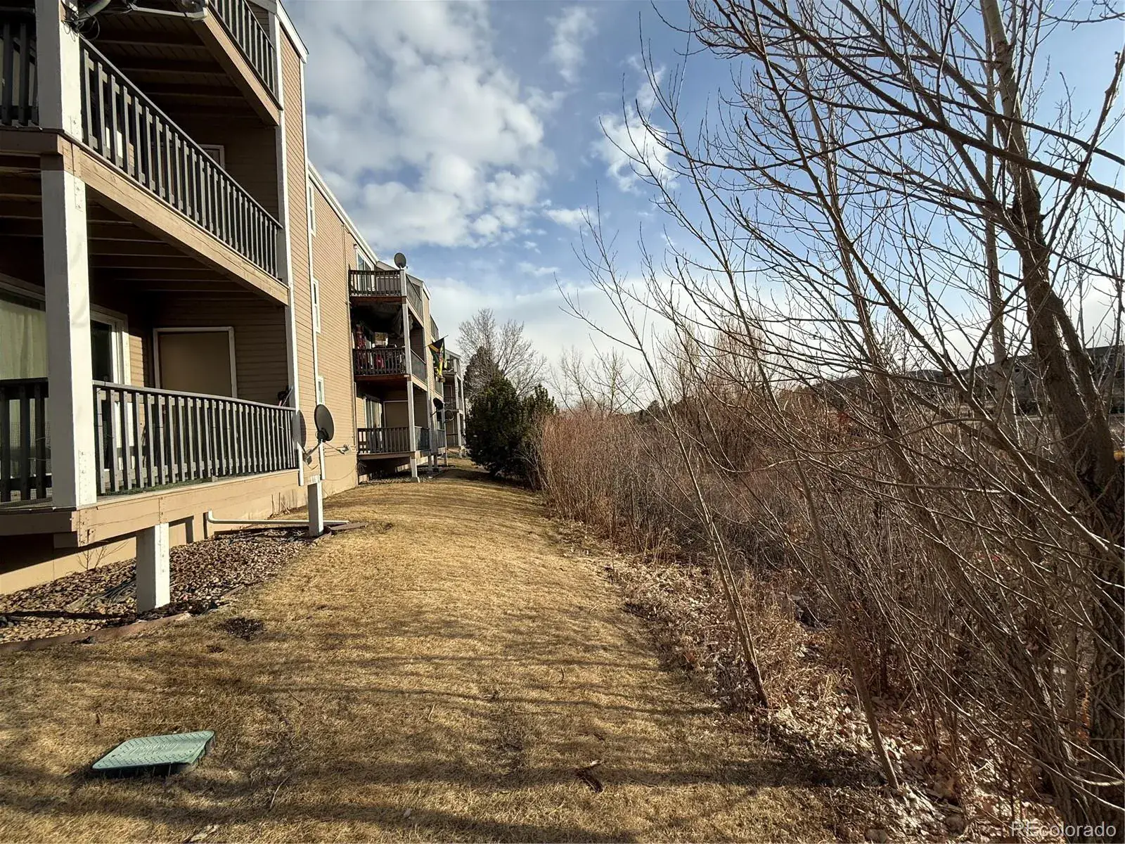 1211 S Gilbert Street Castle Rock CO 80104 | MLS #REC9402796 02142026025125 1600 30