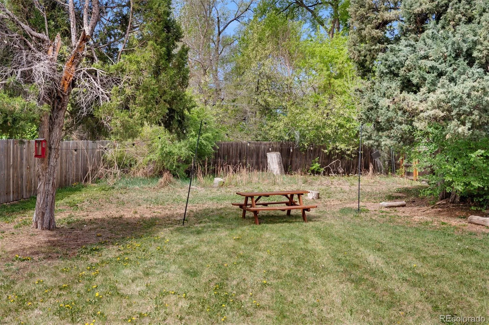 1095 Carr Street Lakewood CO 80214 MLS #REC9410380 04302026200031 1600 32
