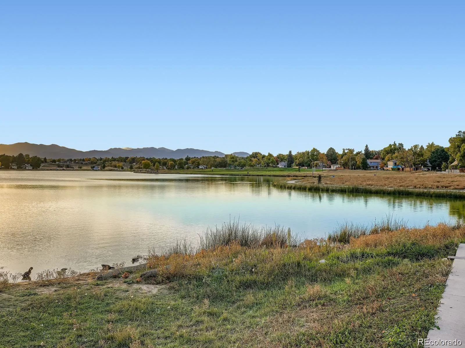 6085 W 82nd Drive Arvada CO 80003 | MLS #REC9417927 08282026222843 1600 40