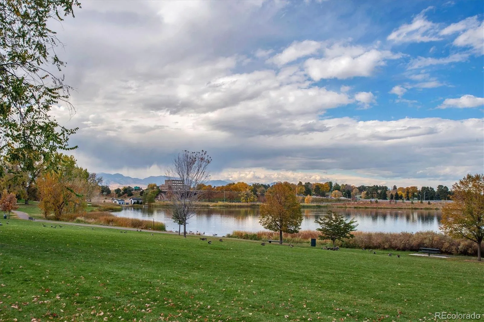 4827 Lowell Boulevard Denver CO 80221 MLS #REC9418420 07082026190154 1600 12