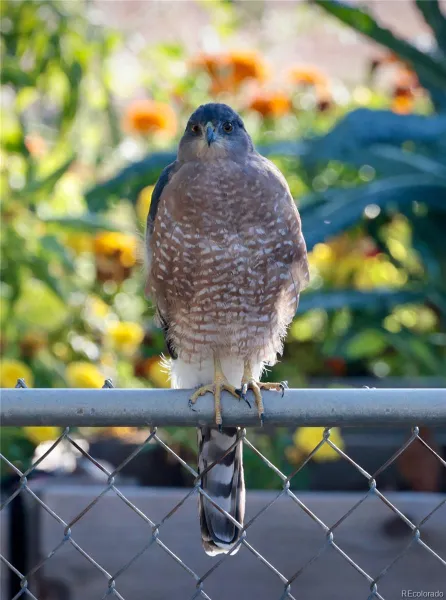 04202026164838 800 32