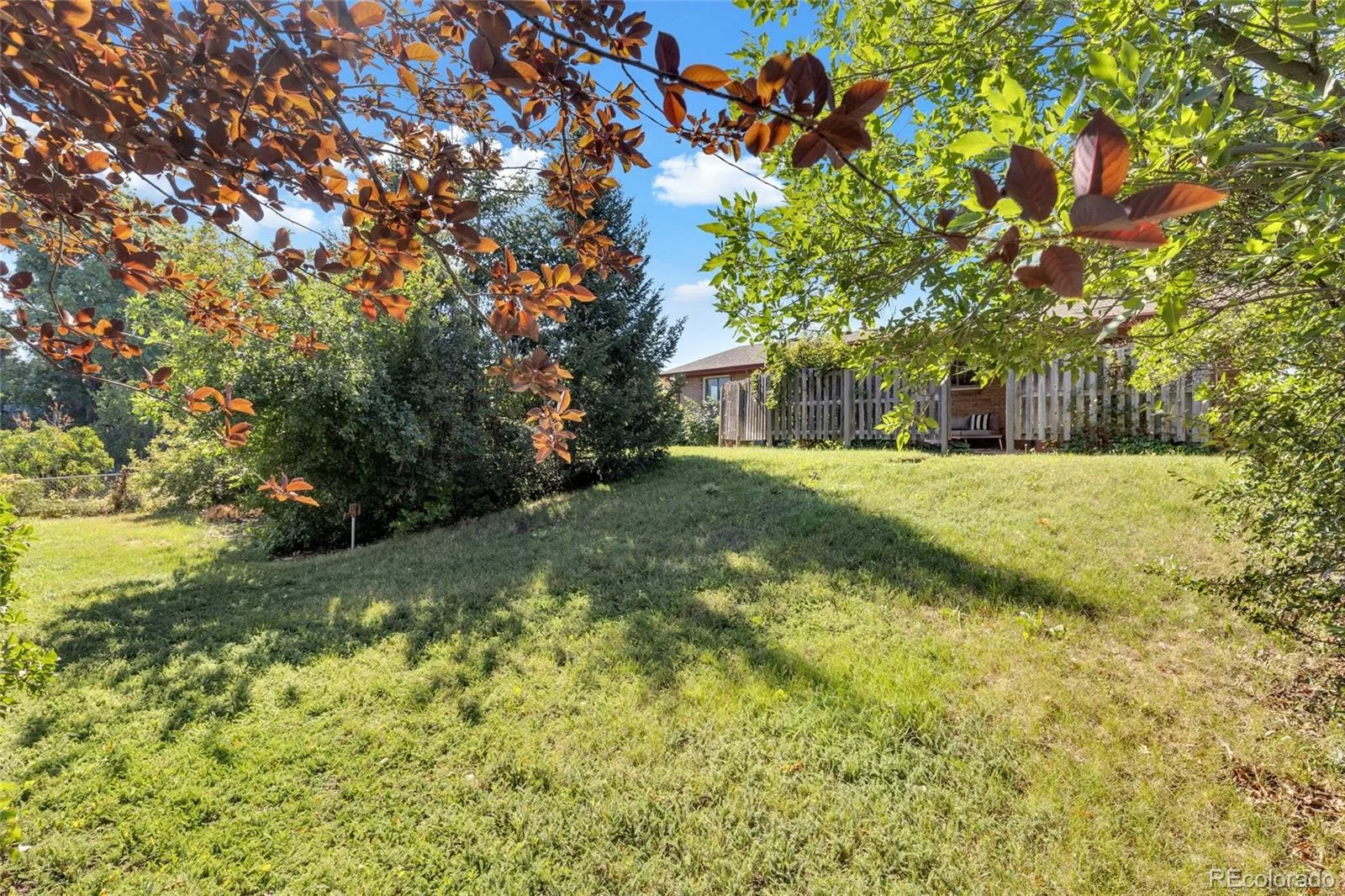 6679 W Louisiana Place Lakewood CO 80232 | MLS #REC9439058 08182026012323 1600 35