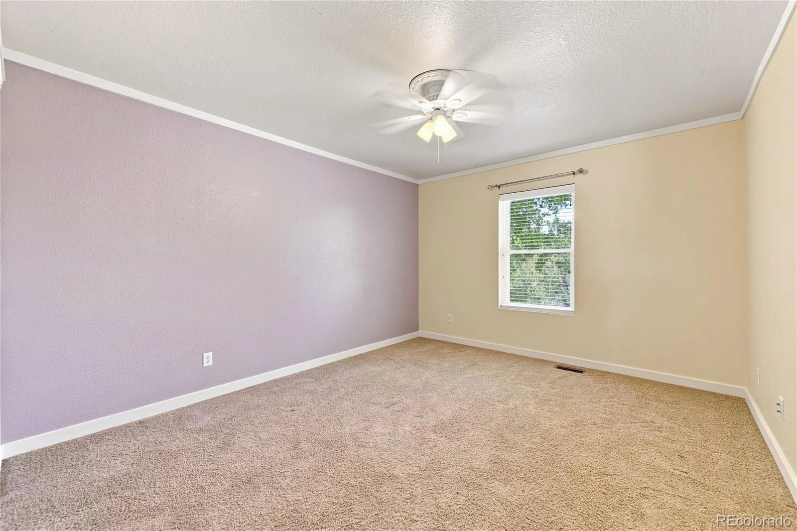 5565 Jericho Court Denver CO 80249 | MLS #REC9442034 08232026145413 1600 31