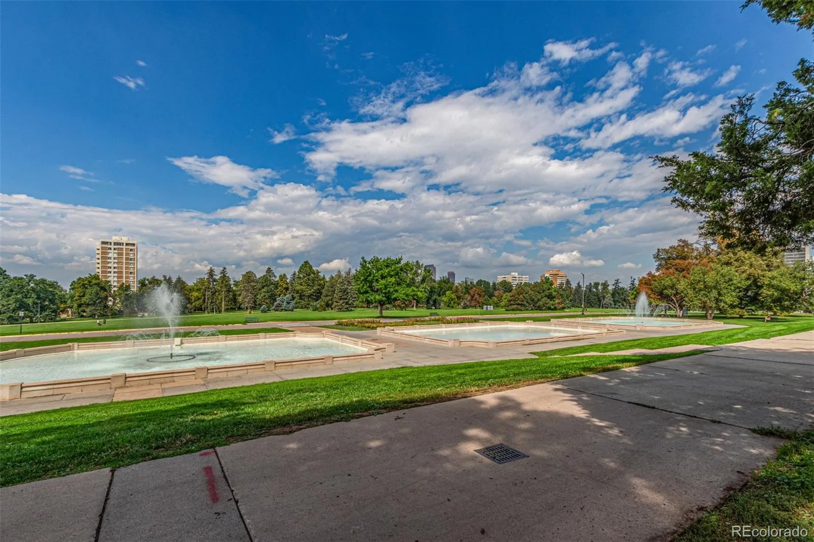1601 Park Avenue #303 Denver CO 80218 MLS #REC9446850 05202026200633 1600 34