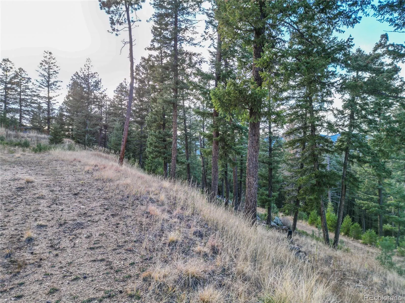 26779 Fern Gulch Road Evergreen CO 80439 MLS #REC9457131 05122026191841 1600 10