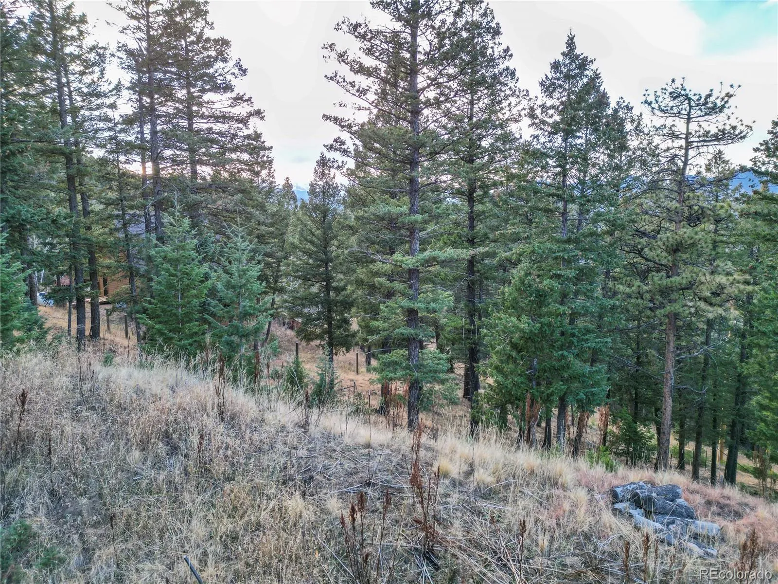 26779 Fern Gulch Road Evergreen CO 80439 MLS #REC9457131 05122026191841 1600 11