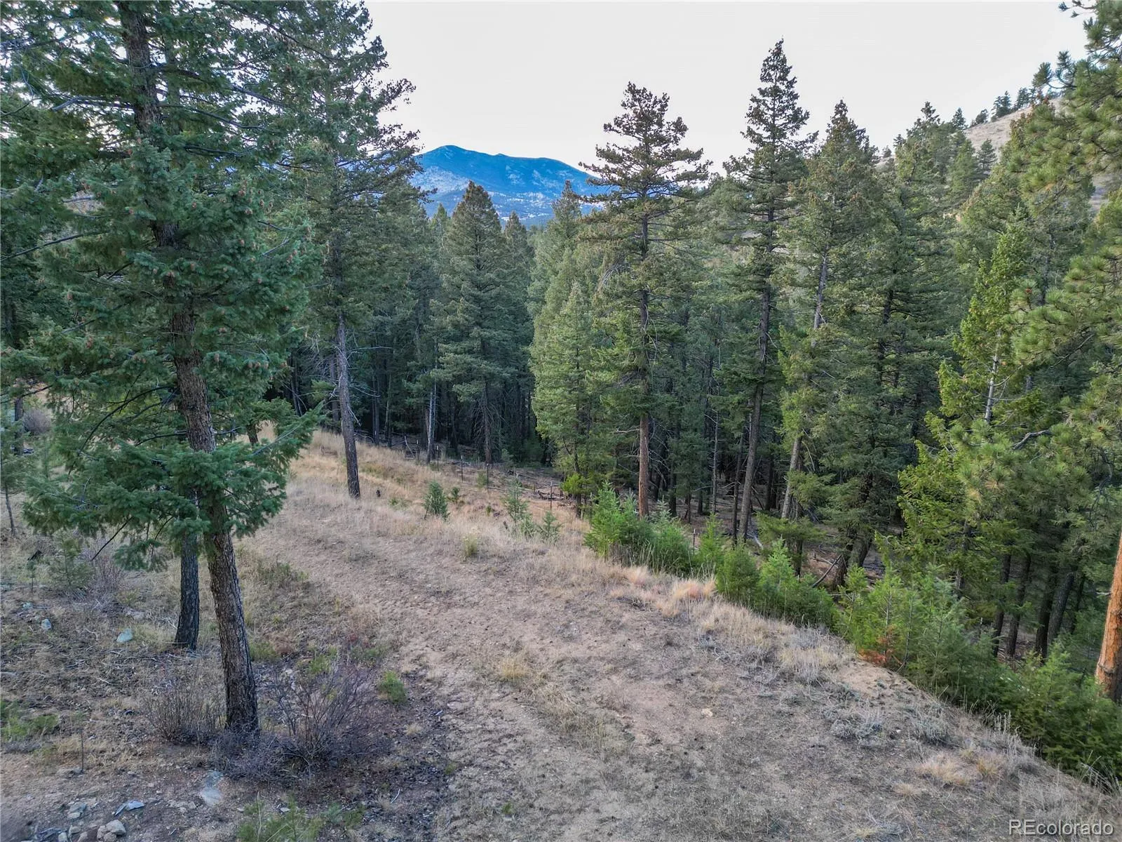 26779 Fern Gulch Road Evergreen CO 80439 MLS #REC9457131 05122026191841 1600 13