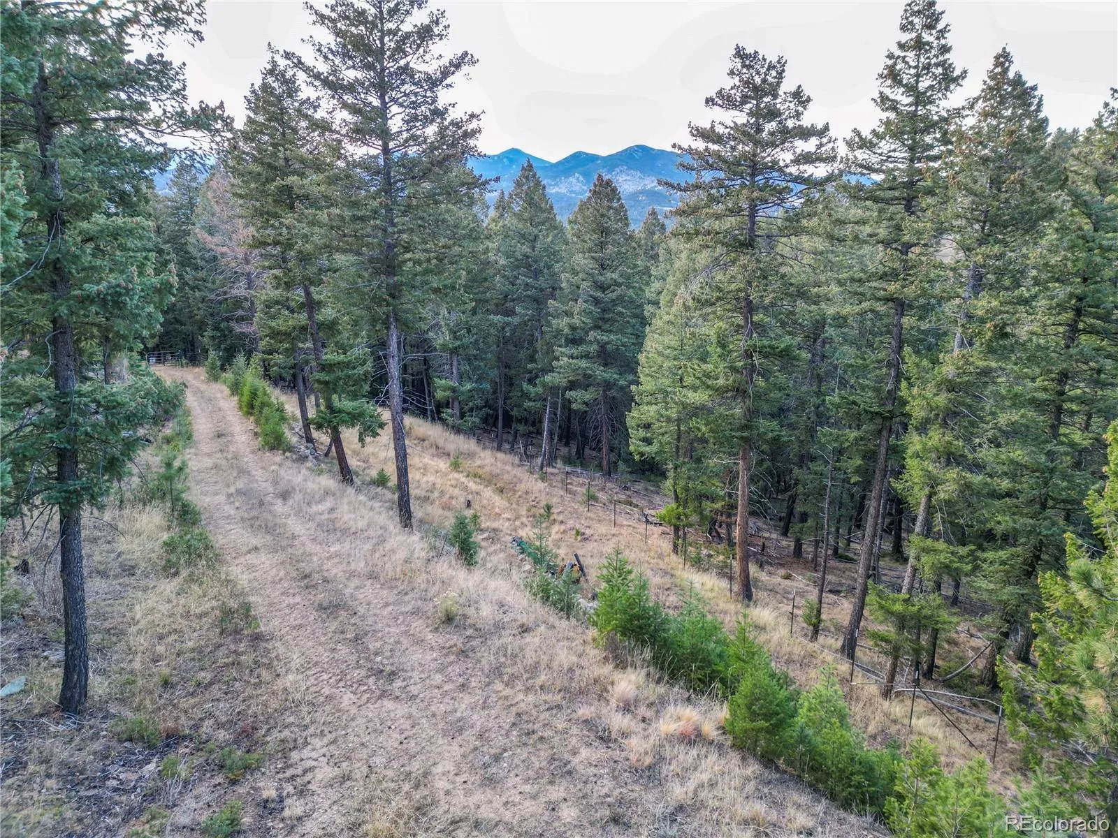 26779 Fern Gulch Road Evergreen CO 80439 MLS #REC9457131 05122026191841 1600 14
