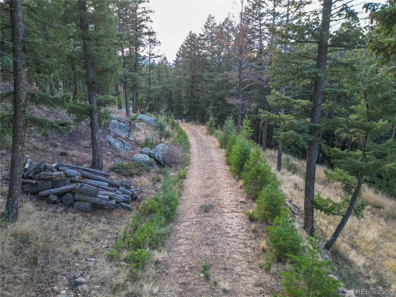 26779 Fern Gulch Road Evergreen CO 80439 MLS #REC9457131 05122026191841 1600 15