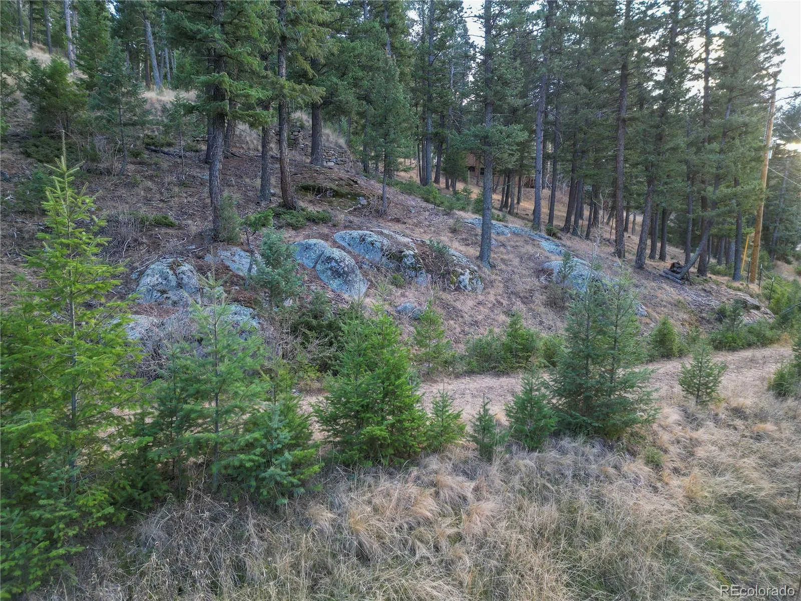 26779 Fern Gulch Road Evergreen CO 80439 MLS #REC9457131 05122026191841 1600 17