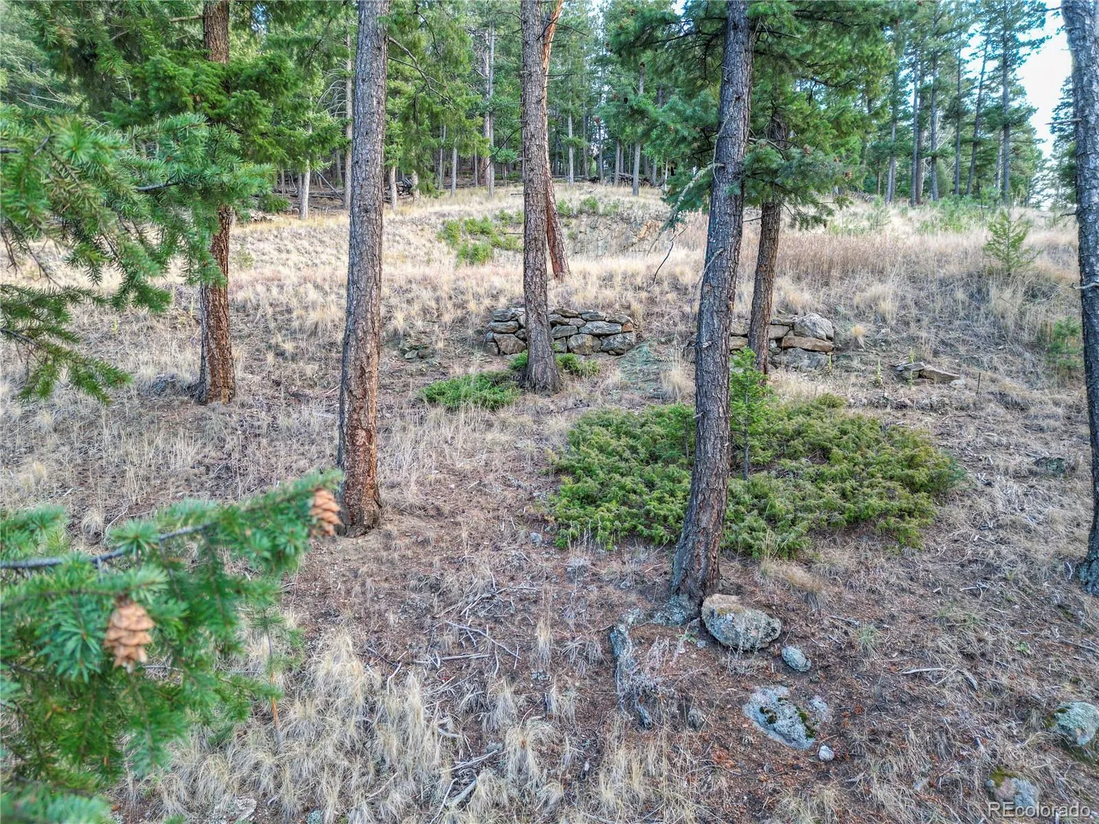 26779 Fern Gulch Road Evergreen CO 80439 MLS #REC9457131 05122026191841 1600 18