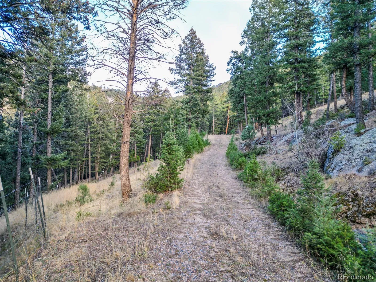 26779 Fern Gulch Road Evergreen CO 80439 MLS #REC9457131 05122026191841 1600 2