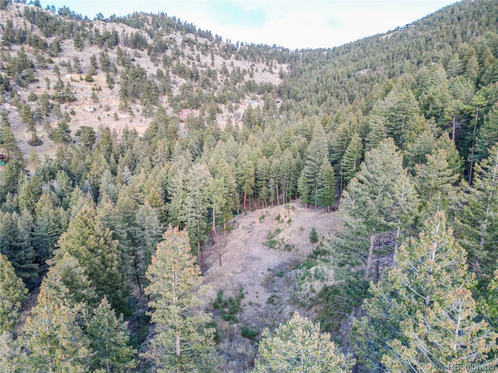 26779 Fern Gulch Road Evergreen CO 80439 MLS #REC9457131 05122026191841 1600 23