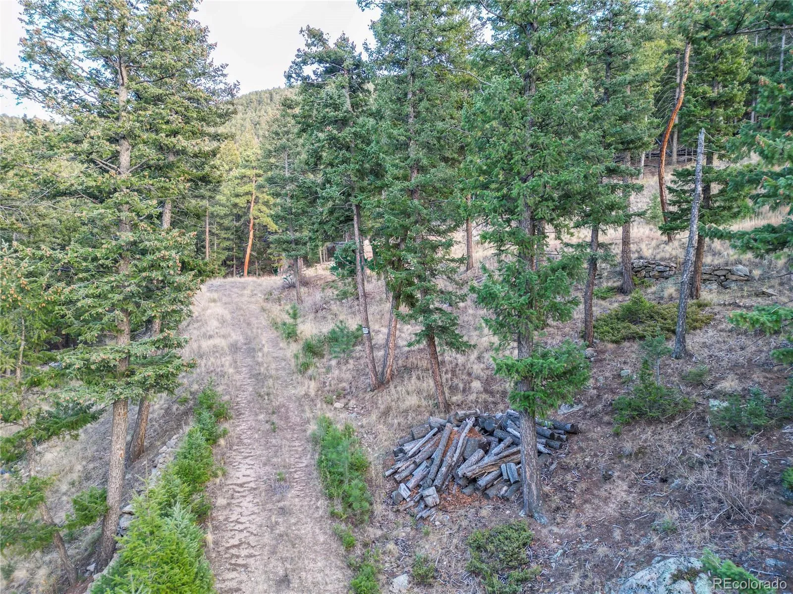 26779 Fern Gulch Road Evergreen CO 80439 MLS #REC9457131 05122026191841 1600 3