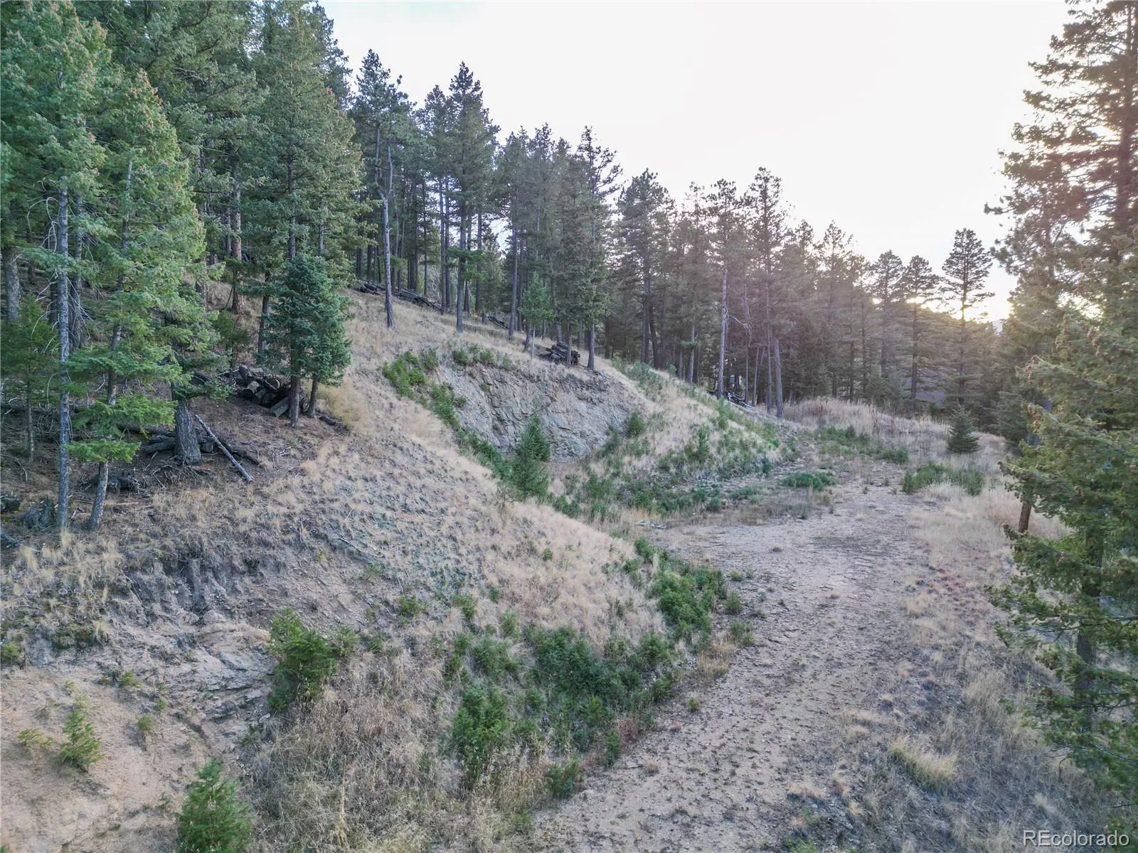 26779 Fern Gulch Road Evergreen CO 80439 MLS #REC9457131 05122026191841 1600 4
