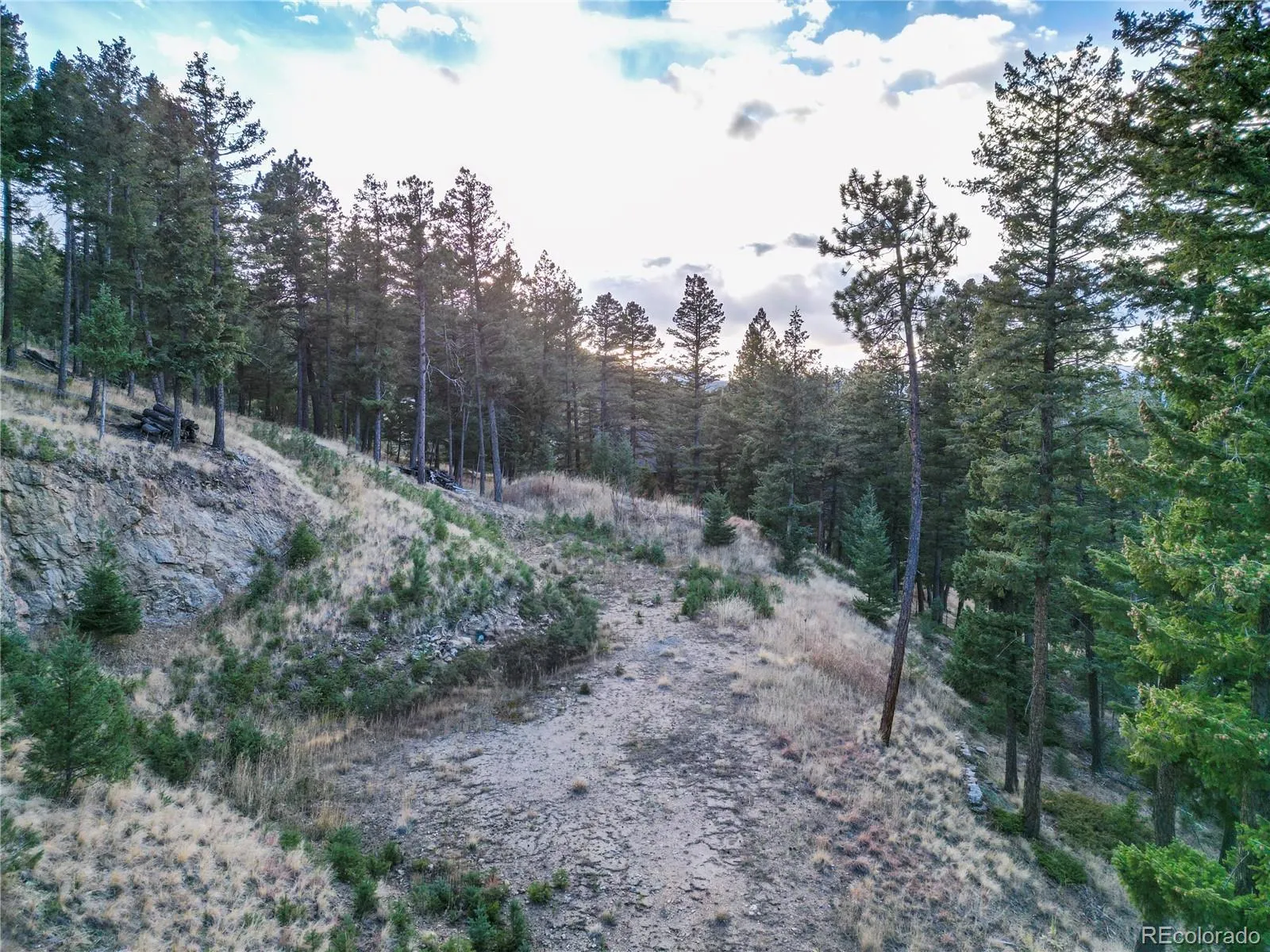 26779 Fern Gulch Road Evergreen CO 80439 MLS #REC9457131 05122026191841 1600 5