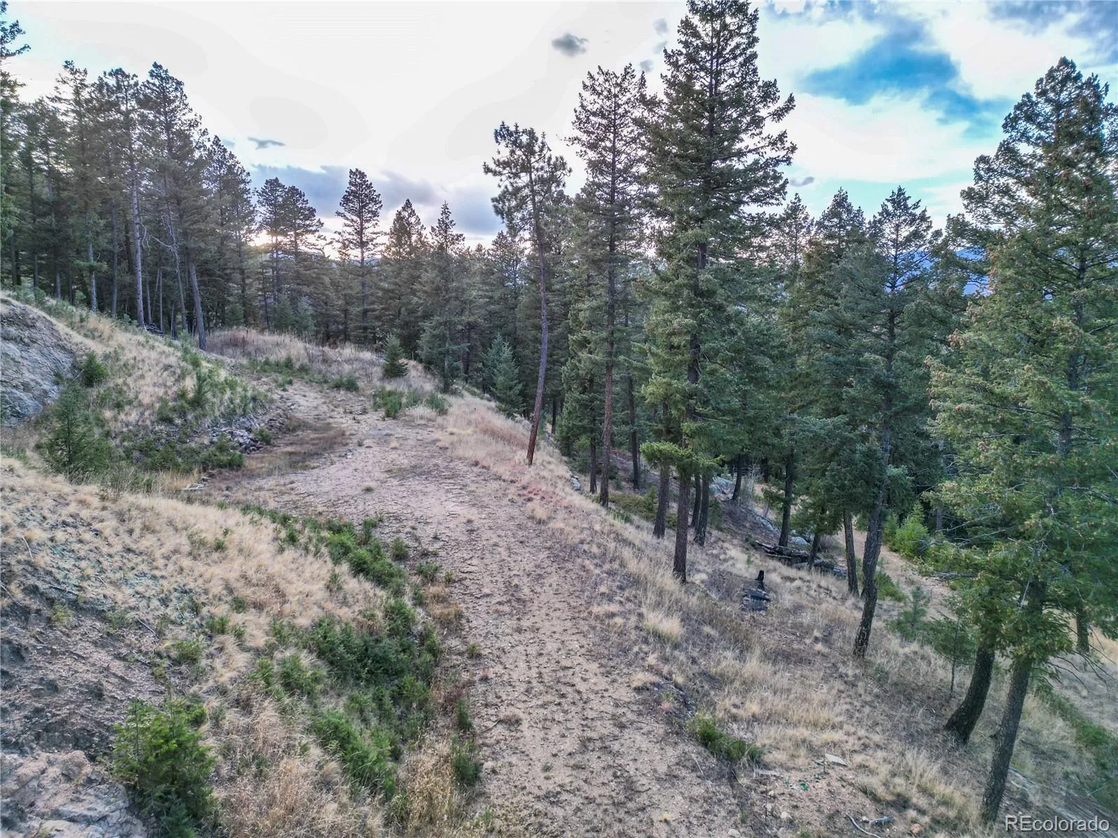 26779 Fern Gulch Road Evergreen CO 80439 MLS #REC9457131 05122026191841 1600 6