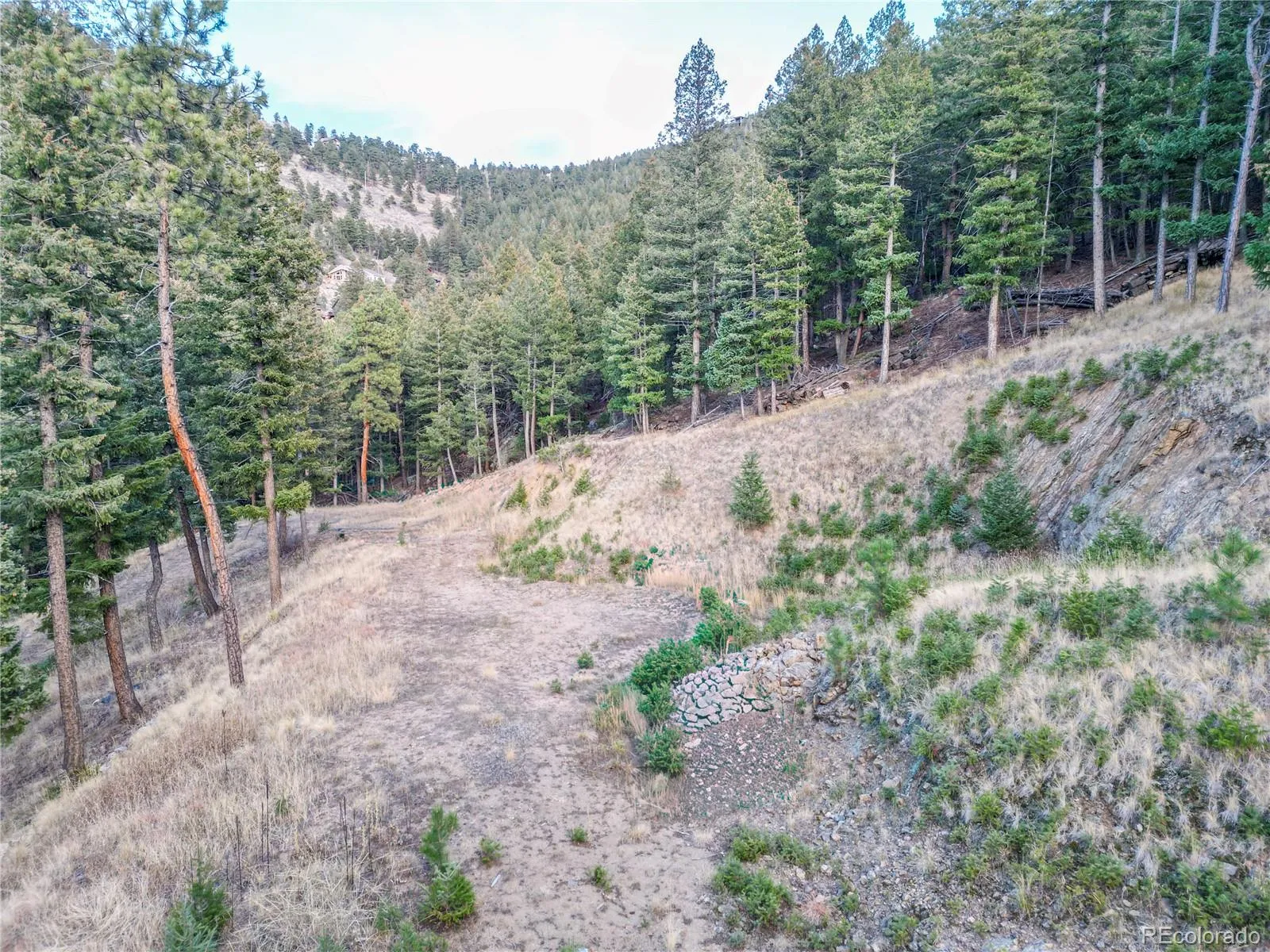 26779 Fern Gulch Road Evergreen CO 80439 MLS #REC9457131 05122026191841 1600 7