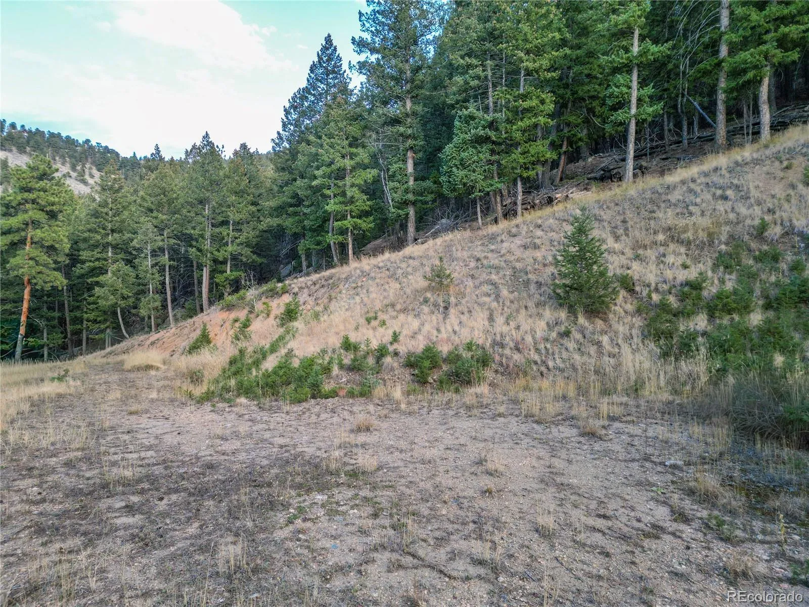 26779 Fern Gulch Road Evergreen CO 80439 MLS #REC9457131 05122026191841 1600 8