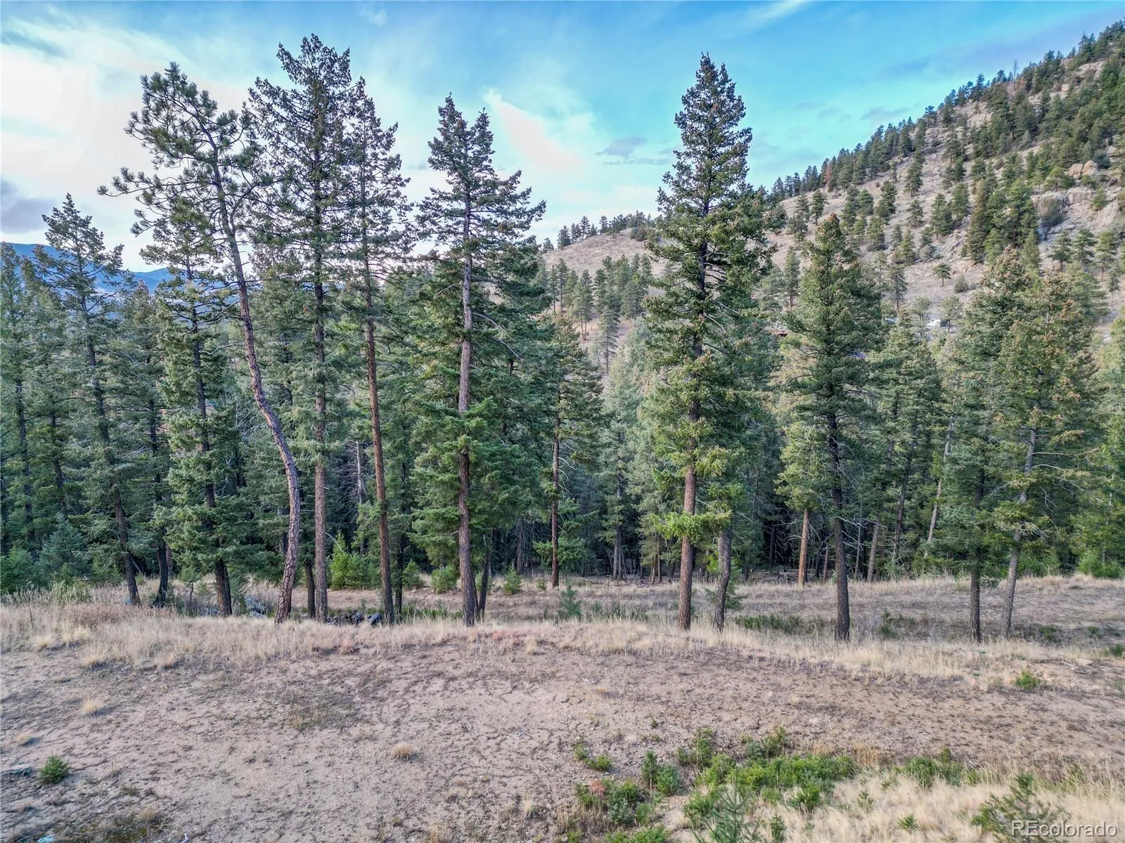 26779 Fern Gulch Road Evergreen CO 80439 MLS #REC9457131 05122026191841 1600 9