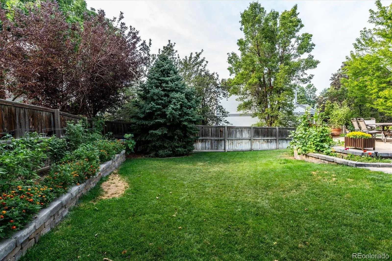 1942 Sundrop Trail Highlands Ranch CO 80126 | MLS #REC9459086 08202026204908 1600 30