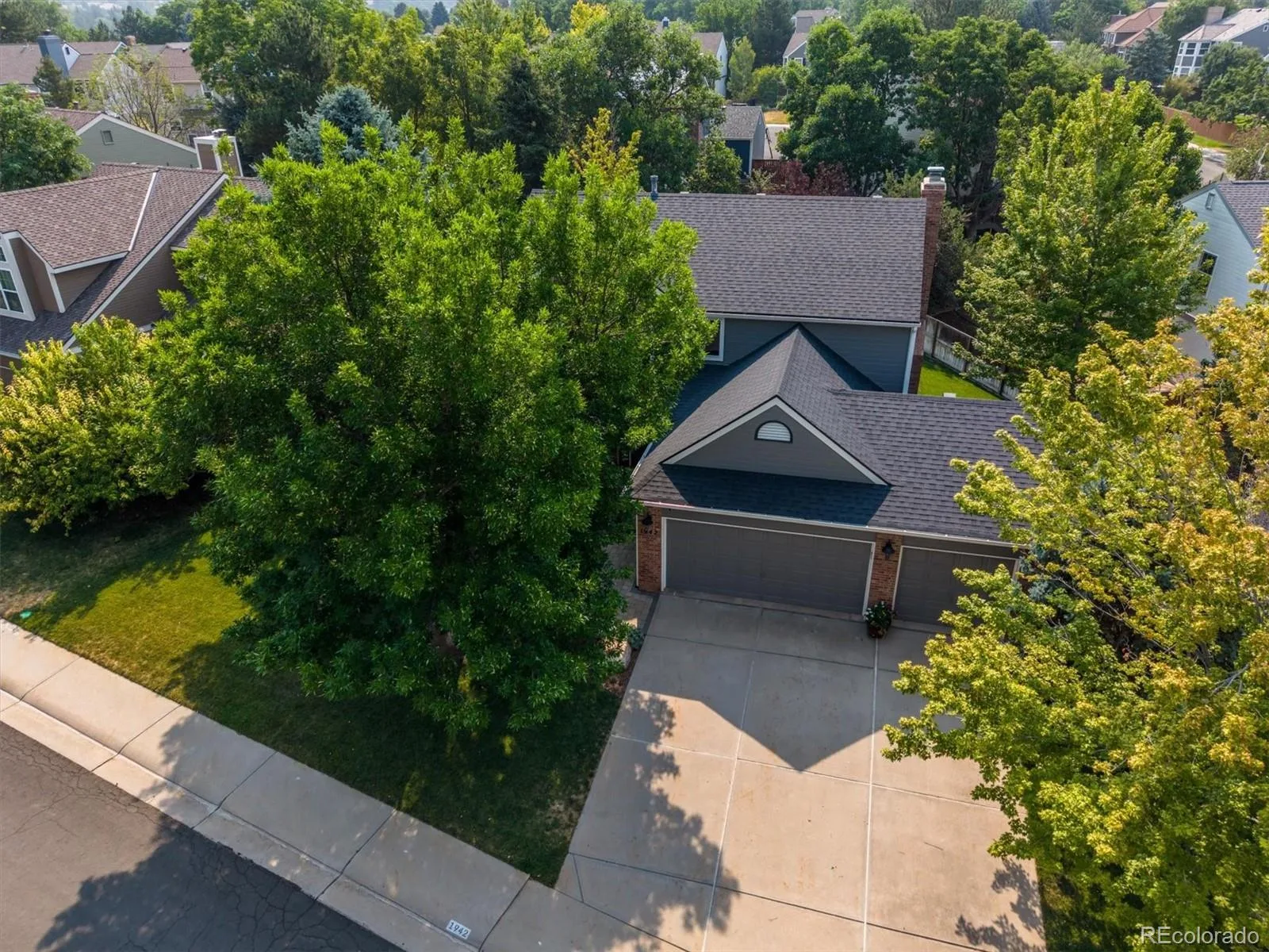 1942 Sundrop Trail Highlands Ranch CO 80126 | MLS #REC9459086 08202026204908 1600 33
