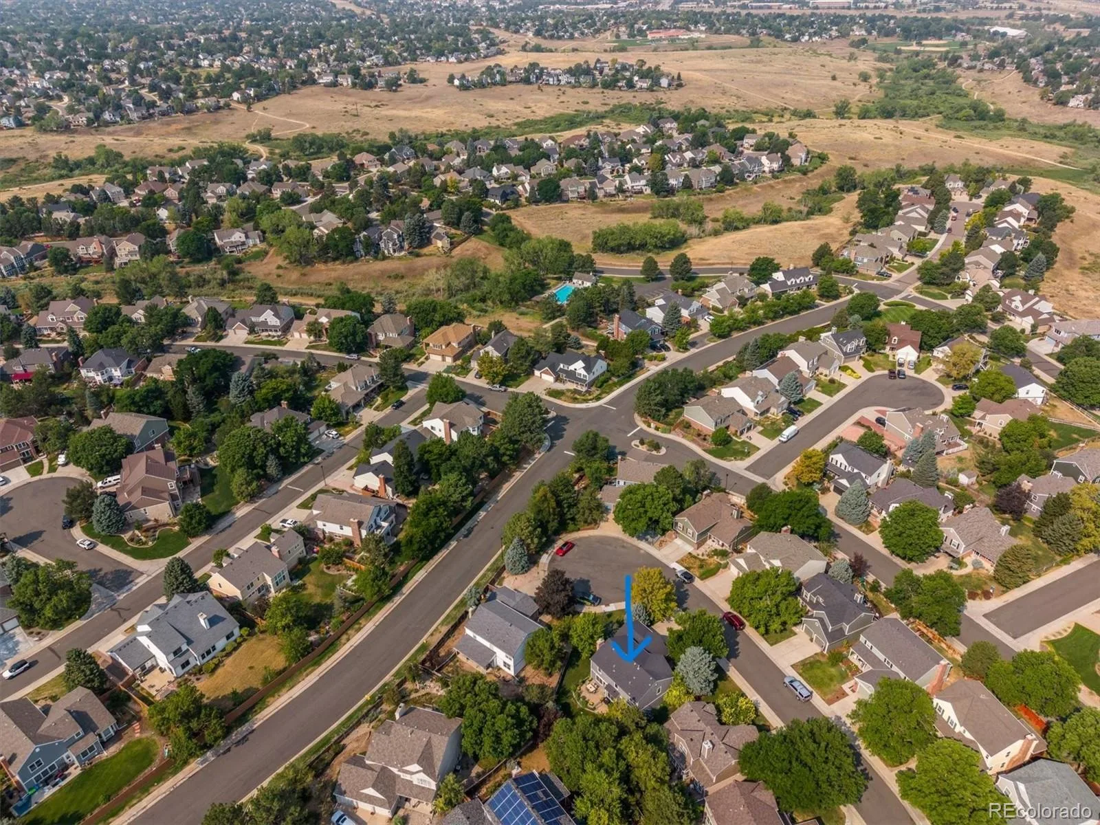 1942 Sundrop Trail Highlands Ranch CO 80126 | MLS #REC9459086 08202026204908 1600 38