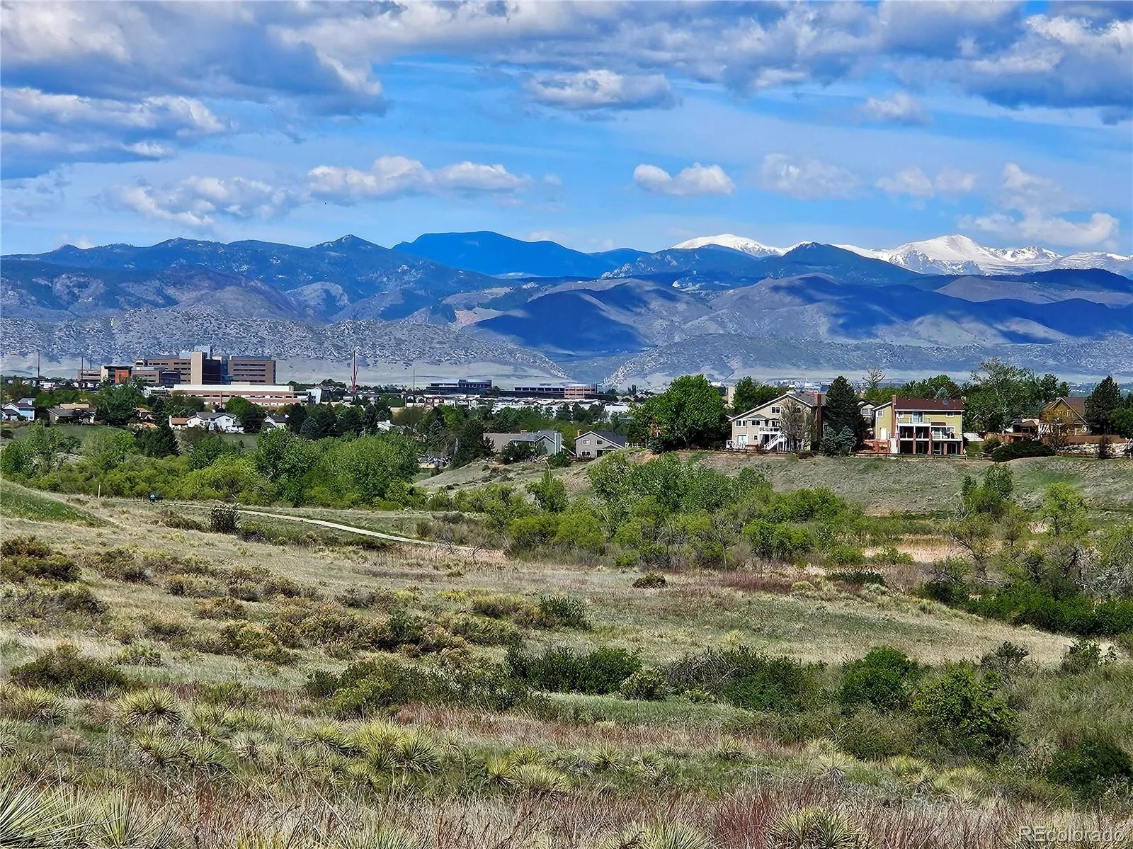 1942 Sundrop Trail Highlands Ranch CO 80126 | MLS #REC9459086 08202026204908 1600 44