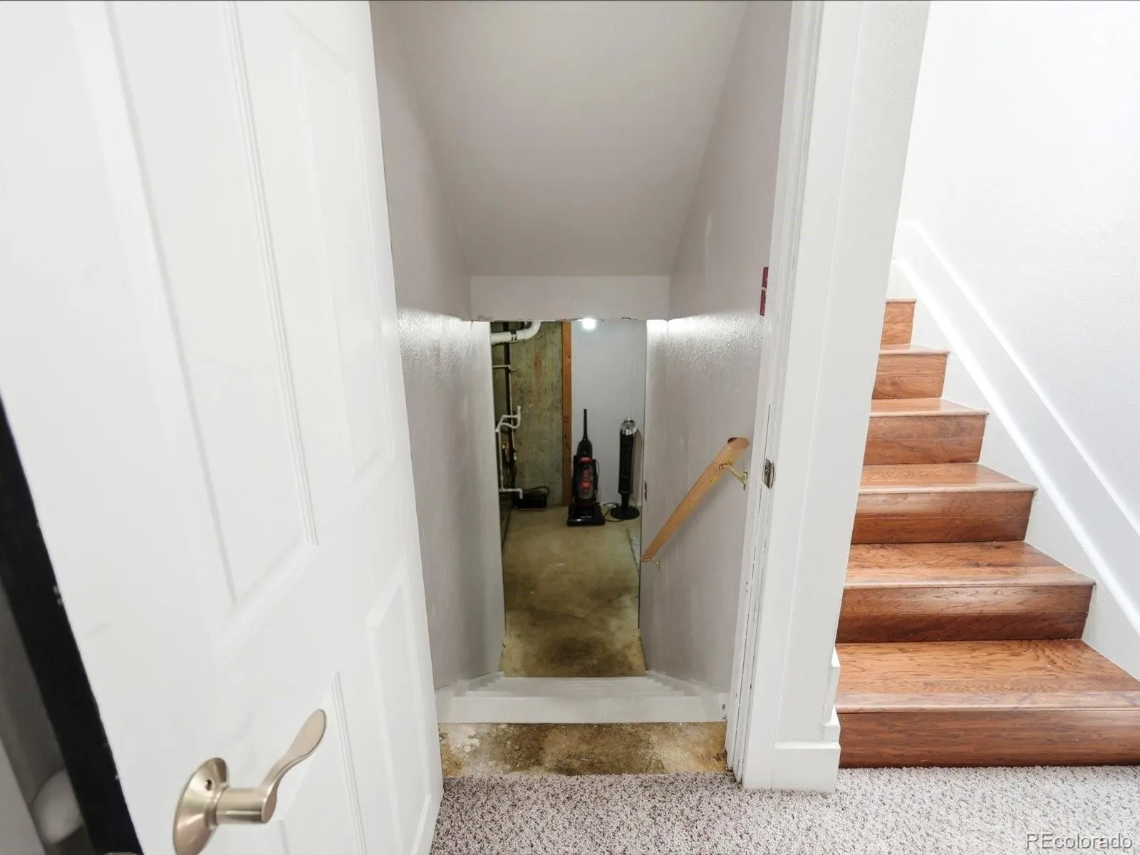 6691 Deframe Court Arvada CO 80004 MLS #REC9473675 05132026032546 1600 29