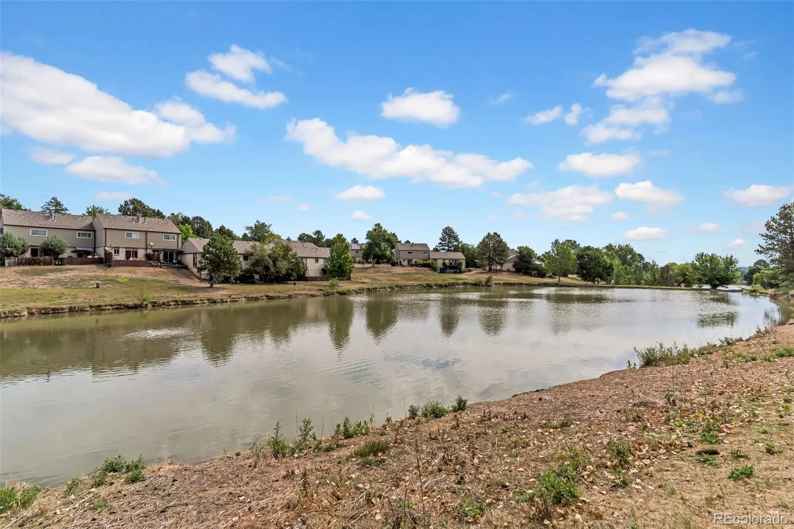 4619 W Ponds Circle Littleton CO 80123 | MLS #REC9480663 07302026162654 1600 25
