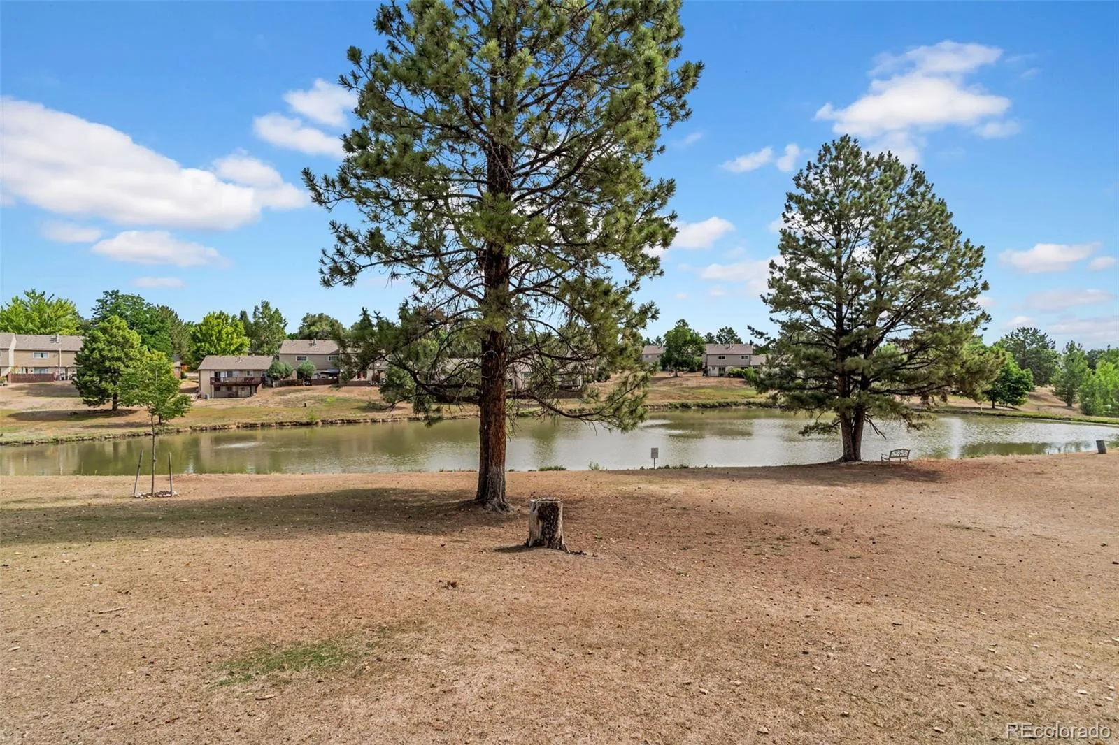 4619 W Ponds Circle Littleton CO 80123 | MLS #REC9480663 07302026162654 1600 26
