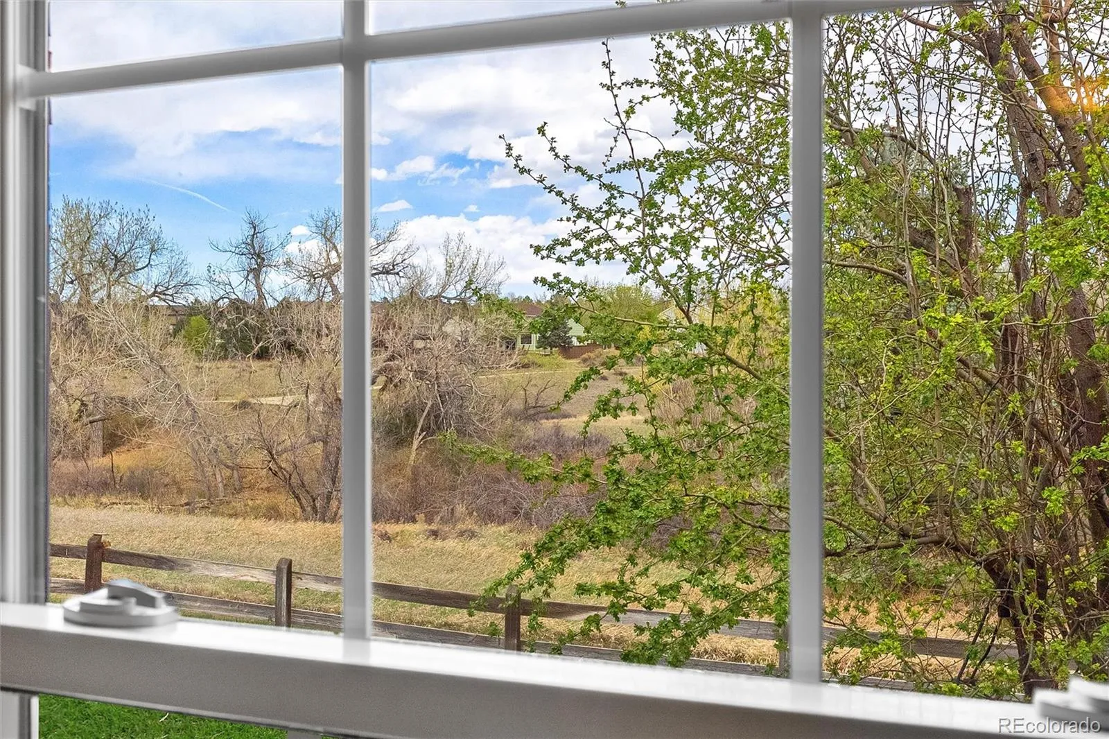 04162026173709 1600 22