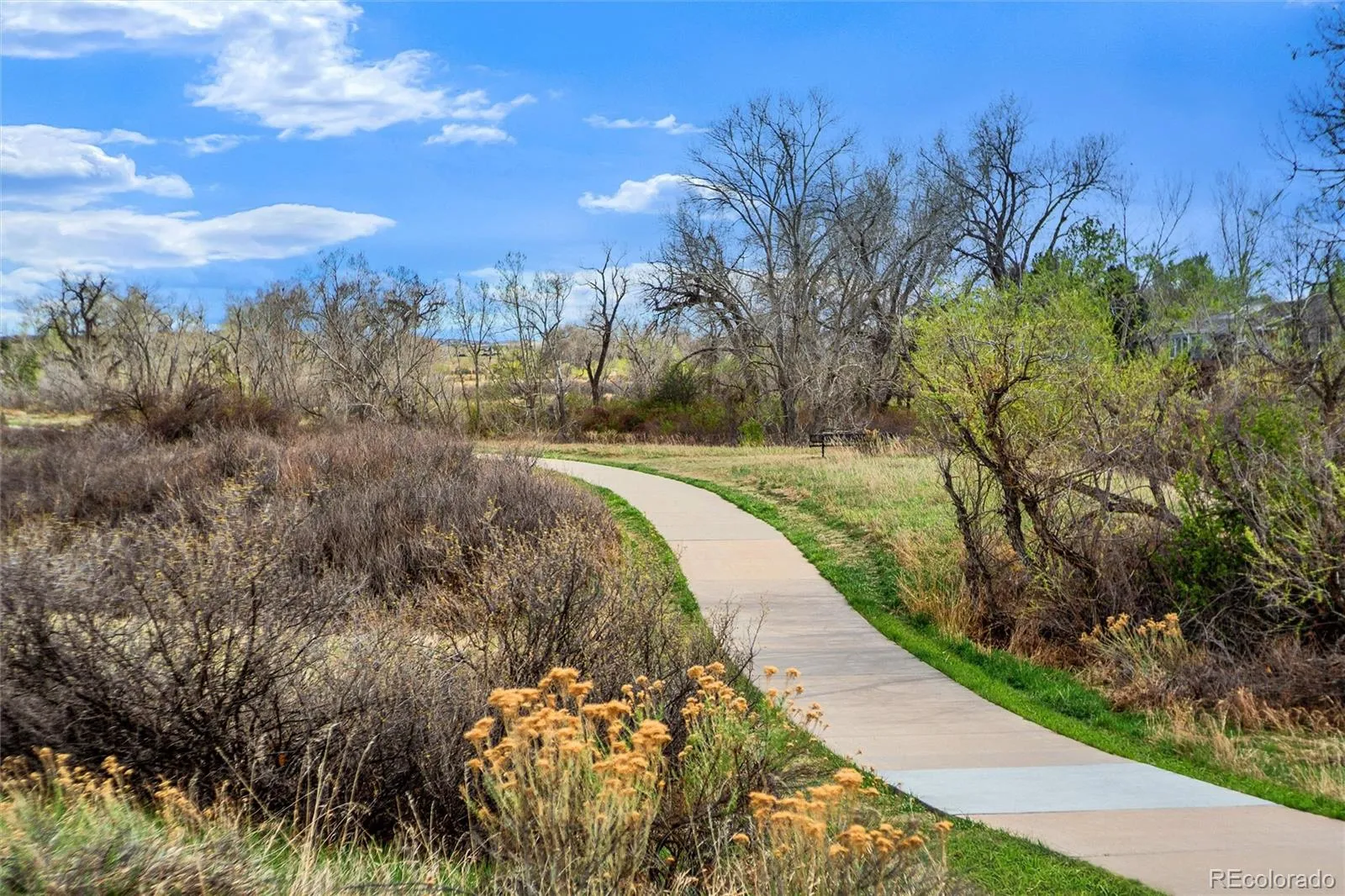 04162026173709 1600 40