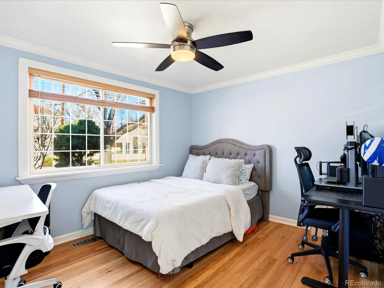 03202026054736 1600 18