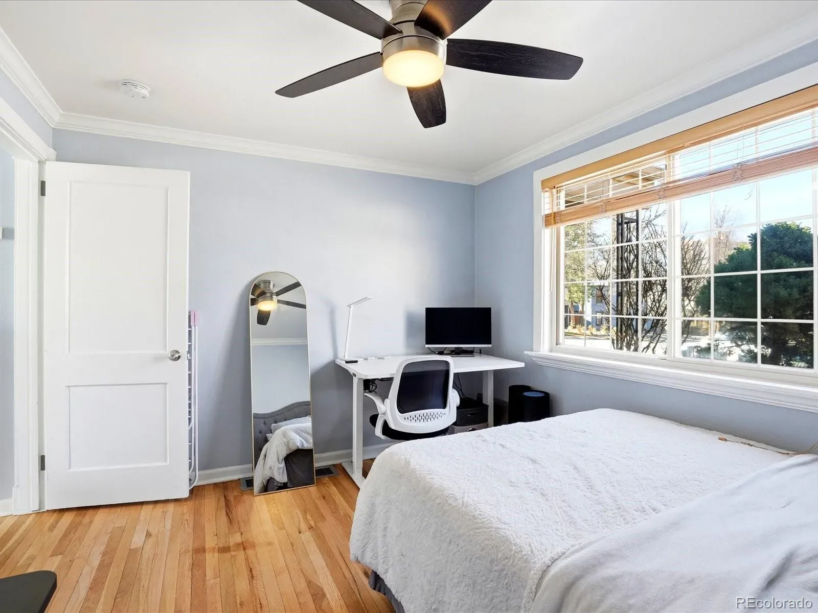 03202026054736 1600 19