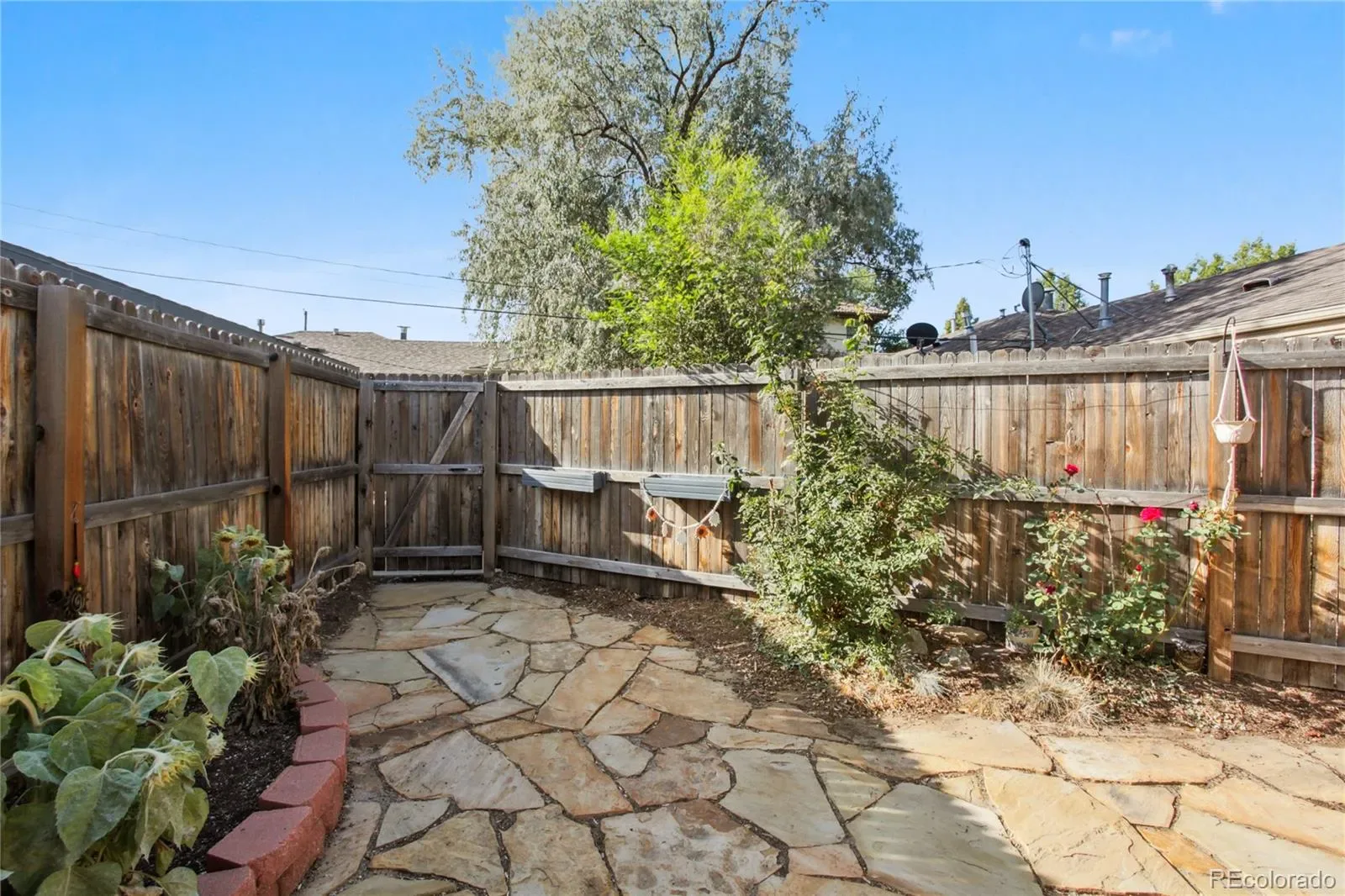 03202026054736 1600 22