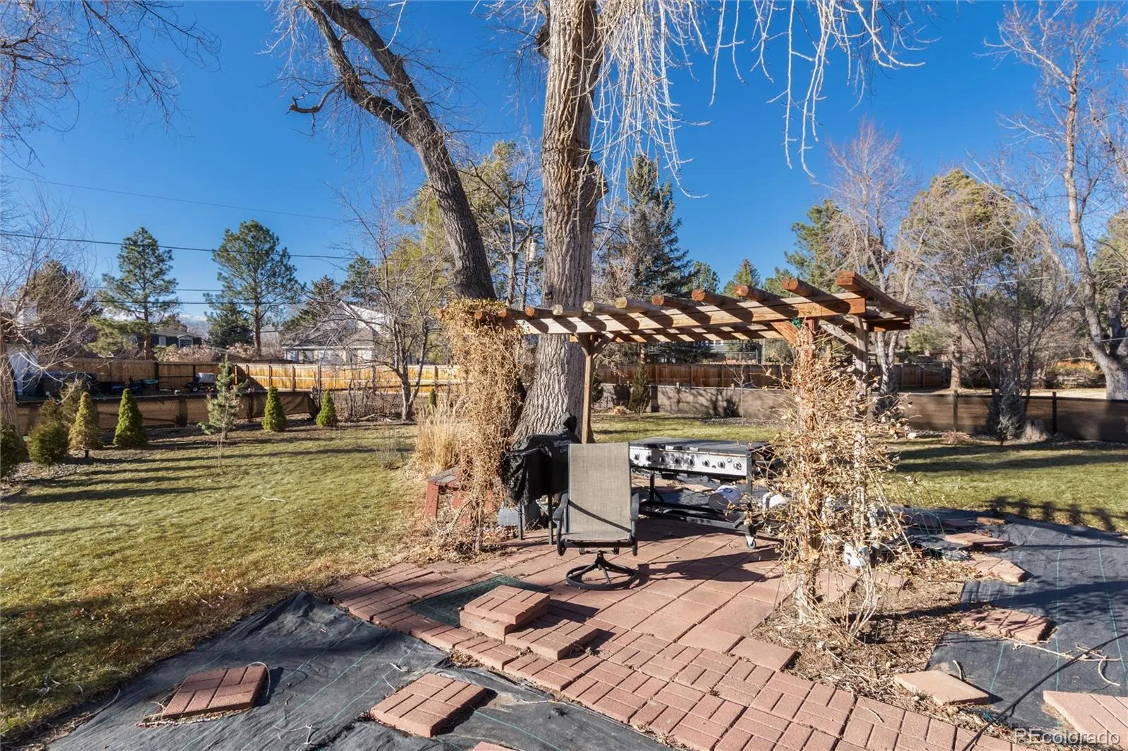 7125 S Depew Street Littleton CO 80128 MLS #REC9488667 04282026223531 1600 25
