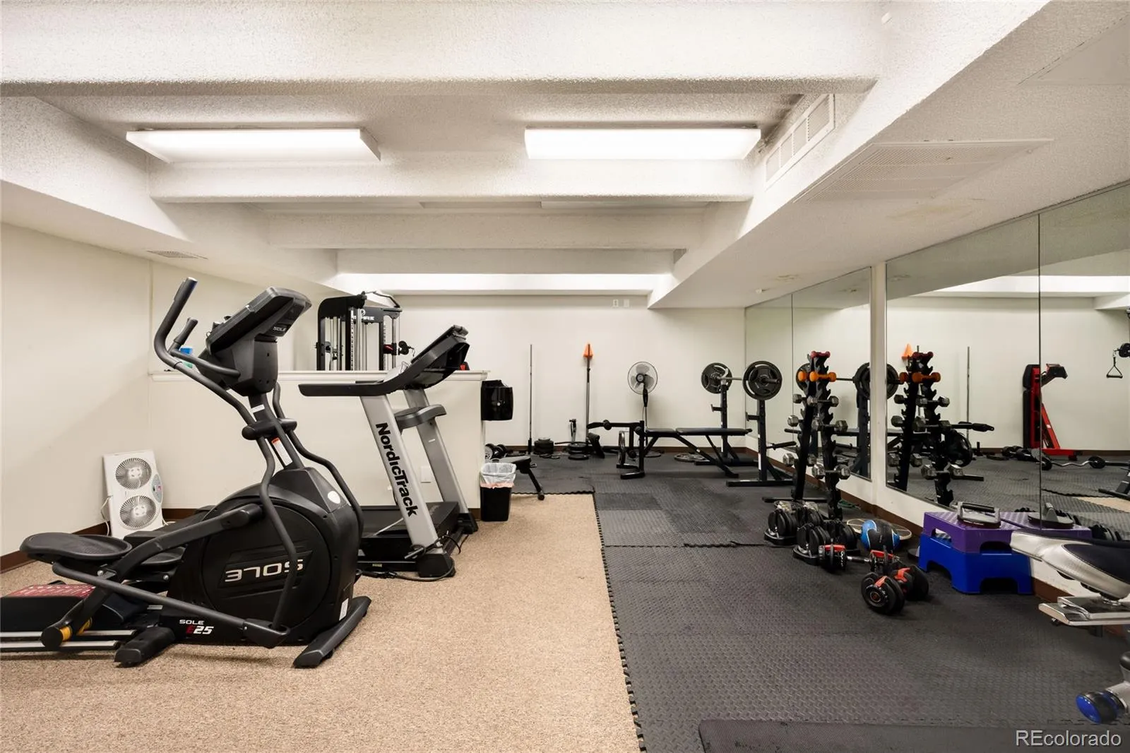 04172026171206 1600 30