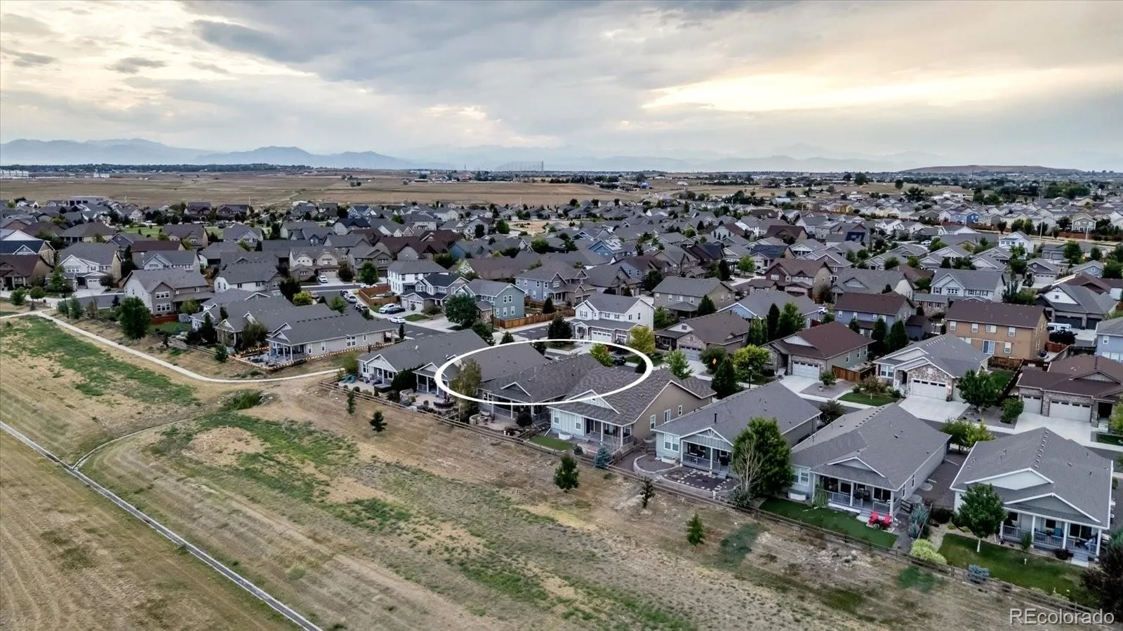 15912 St Paul Street Thornton CO 80602 | MLS #REC9496275 08142026030650 1600 35