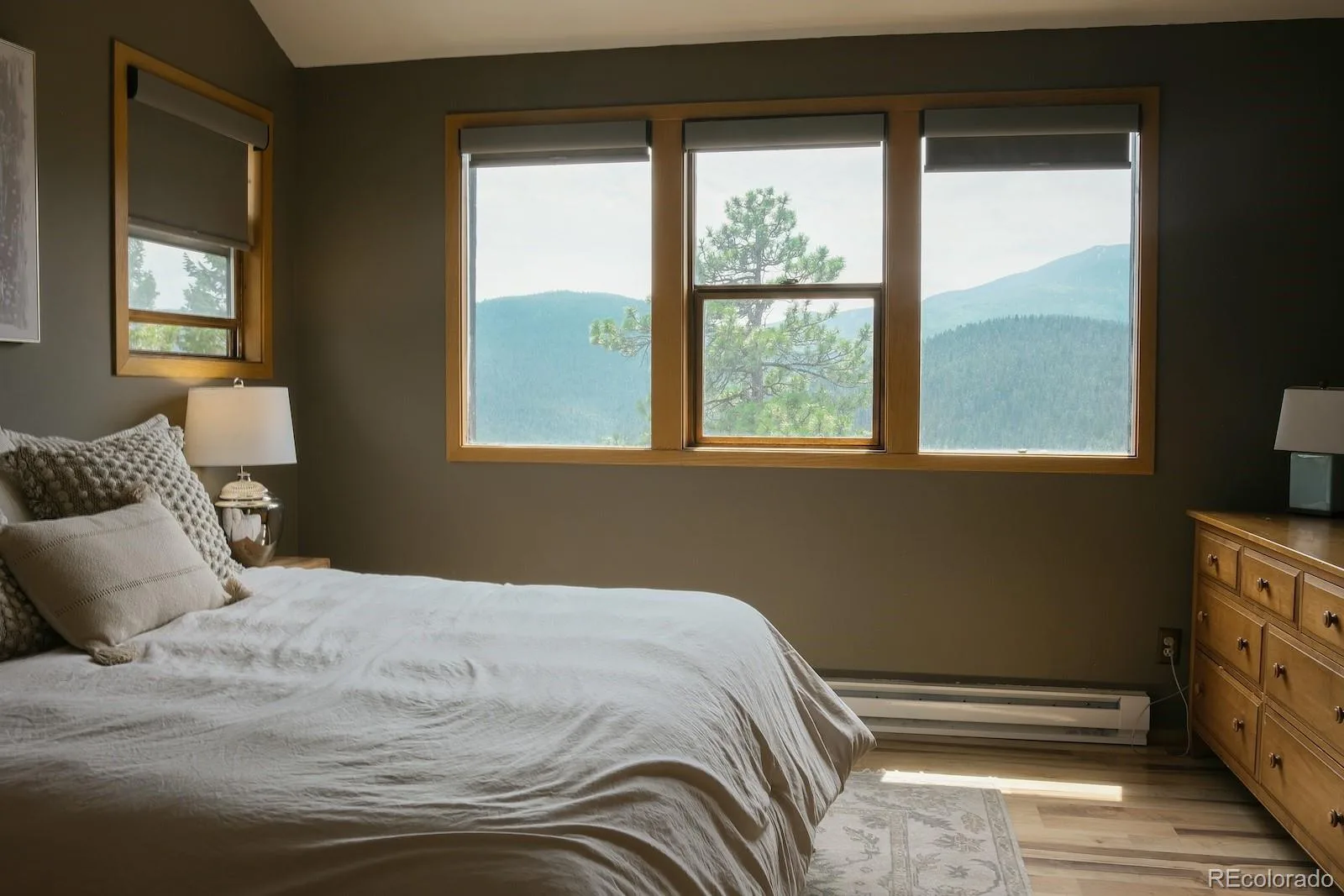 7340 Timber Trail Road Evergreen CO 80439 | MLS #REC9504200 08142026134042 1600 7